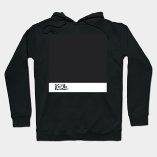 pantone 19-3911 TCX Black Beauty Hoodie